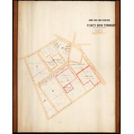 Flints Bush Township